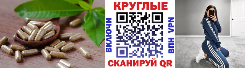 Ecstasy бентли  купить   Пудож 