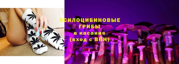 apvp Братск
