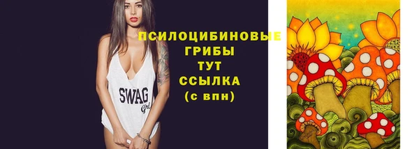 дурь Нея