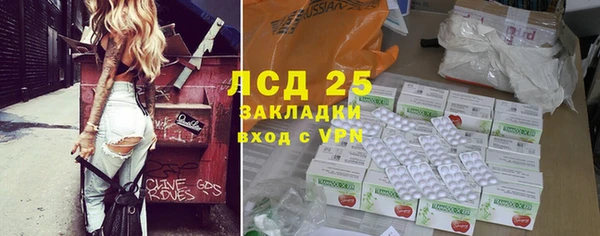 индика Алексеевка