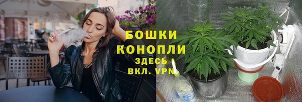 стаф Бугульма