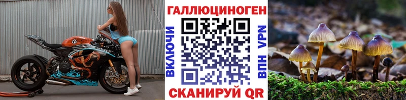 Галлюциногенные грибы Psilocybine cubensis Пудож
